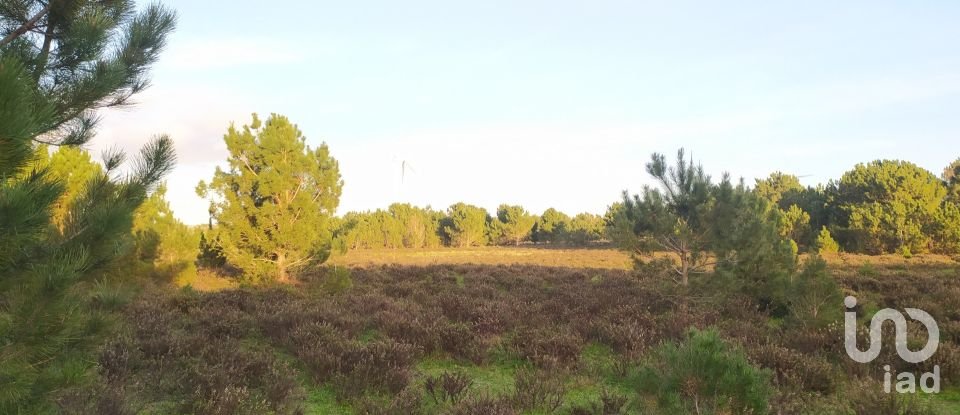 Terreno em Vila do Bispo e Raposeira de 123 840 m²