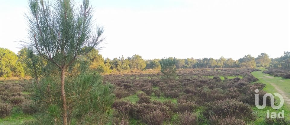 Terreno em Vila do Bispo e Raposeira de 123 840 m²