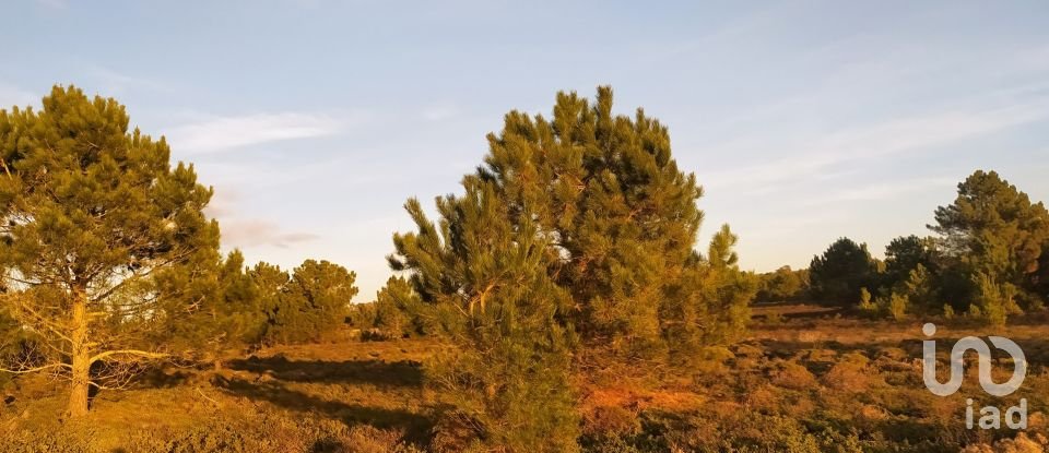 Terreno em Vila do Bispo e Raposeira de 123 840 m²