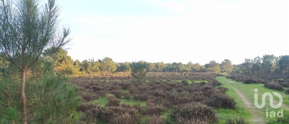 Terreno em Vila do Bispo e Raposeira de 123 840 m²