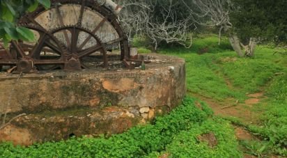 Land in Mexilhoeira Grande of 29,720 m²