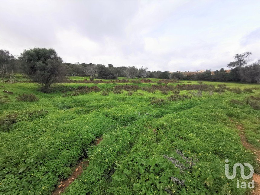 Land in Mexilhoeira Grande of 29,720 m²