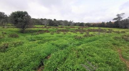 Land in Mexilhoeira Grande of 29,720 m²