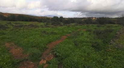 Terrain à Mexilhoeira Grande de 29 720 m²