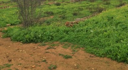 Land in Mexilhoeira Grande of 29,720 m²