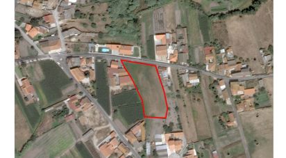 Terreno para construção em Monte Real e Carvide de 3 280 m²