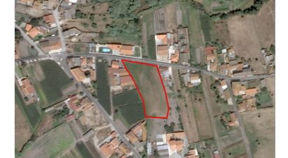 Building plot in Monte Real e Carvide of 3,280 m²