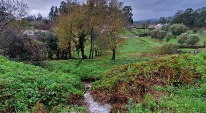Terrain à Torre E Vila Mou de 480 m²