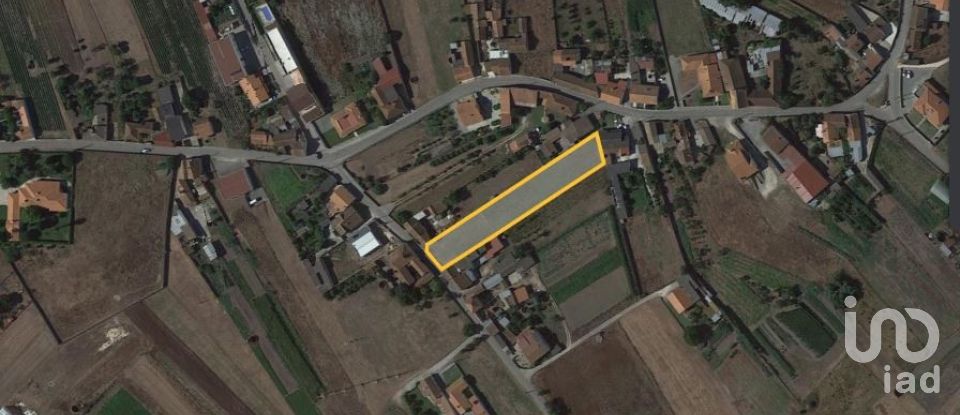 Terreno para construção em Monte Real e Carvide de 2 160 m²