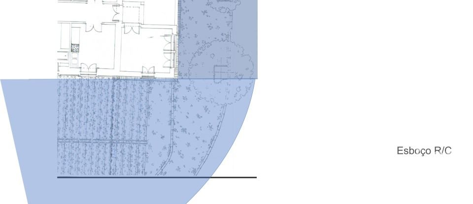 Comércio diverso em Silves de 300 m²