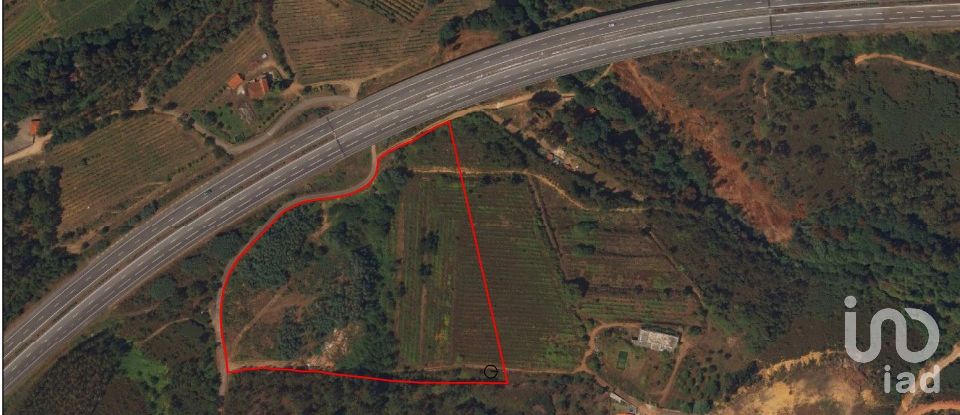 Land in Bárrio e Cepões of 66,425 m²