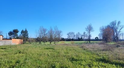 Terrain à Ovar, São João, Arada e São Vicente de Pereira Jusã de 750 m²