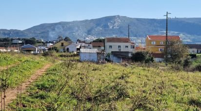 Land in Lamas e Cercal of 5,680 m²