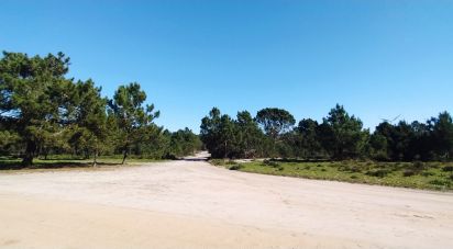 Terrain à Vila do Bispo e Raposeira de 344 887 m²