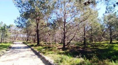 Terrain à Vila do Bispo e Raposeira de 344 887 m²