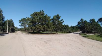 Terrain à Vila do Bispo e Raposeira de 344 887 m²