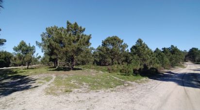 Terrain à Vila do Bispo e Raposeira de 344 887 m²