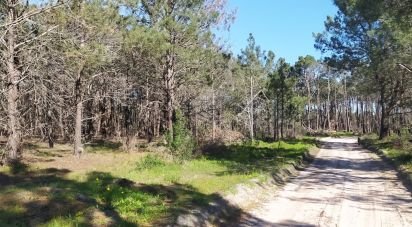 Terrain à Vila do Bispo e Raposeira de 344 887 m²