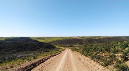 Terrain à Vila do Bispo e Raposeira de 174 170 m²