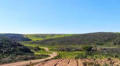 Terrain à Vila do Bispo e Raposeira de 174 170 m²