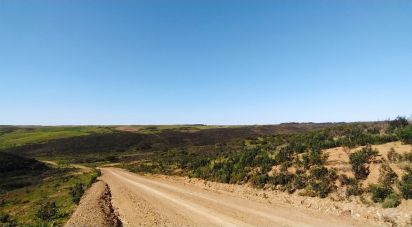 Terrain à Vila do Bispo e Raposeira de 174 170 m²