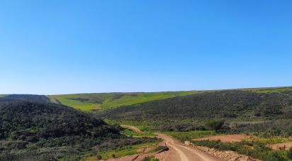 Terrain à Vila do Bispo e Raposeira de 174 170 m²