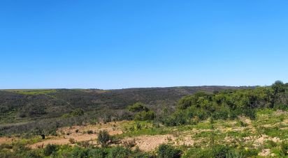 Terrain à Vila do Bispo e Raposeira de 174 170 m²