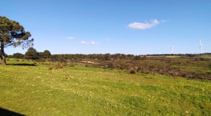 Terrain à Vila do Bispo e Raposeira de 235 534 m²