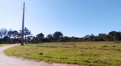 Terrain à Vila do Bispo e Raposeira de 235 534 m²