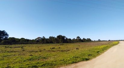 Terrain à Vila do Bispo e Raposeira de 235 534 m²