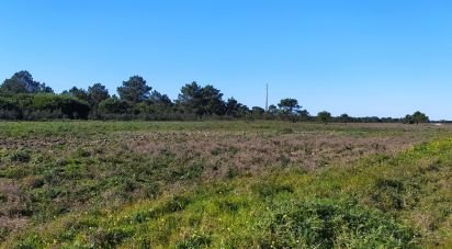 Terrain à Vila do Bispo e Raposeira de 235 534 m²