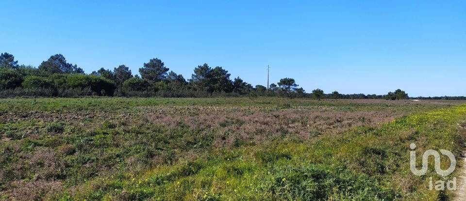 Terreno em Vila do Bispo e Raposeira de 235 534 m²