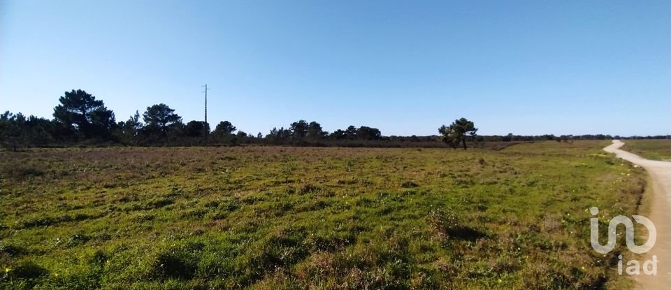 Terreno em Vila do Bispo e Raposeira de 235 534 m²
