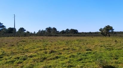 Terrain à Vila do Bispo e Raposeira de 235 534 m²