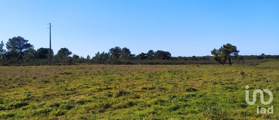 Terreno em Vila do Bispo e Raposeira de 235 534 m²