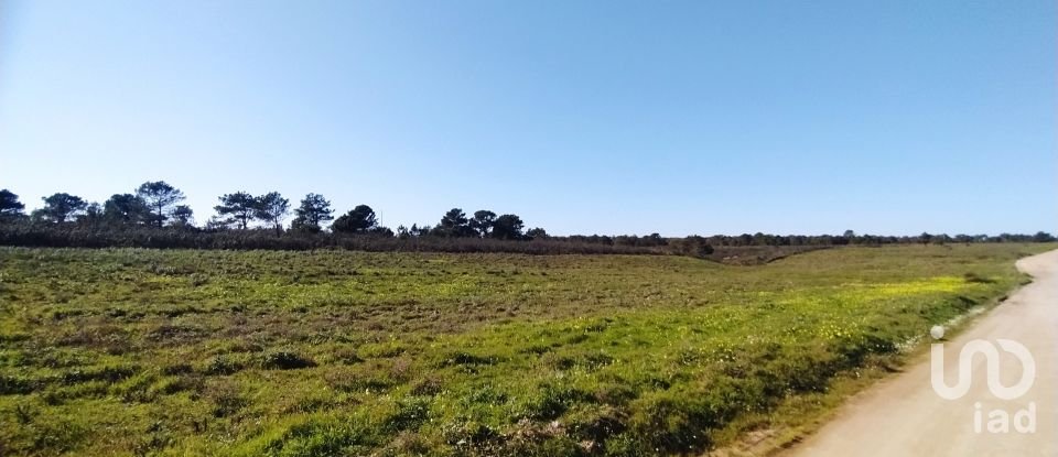 Terreno em Vila do Bispo e Raposeira de 235 534 m²