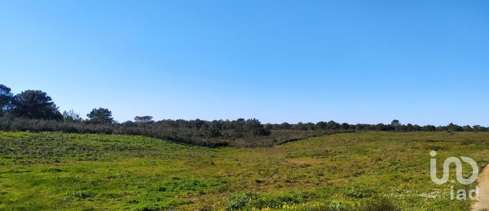 Terreno em Vila do Bispo e Raposeira de 235 534 m²