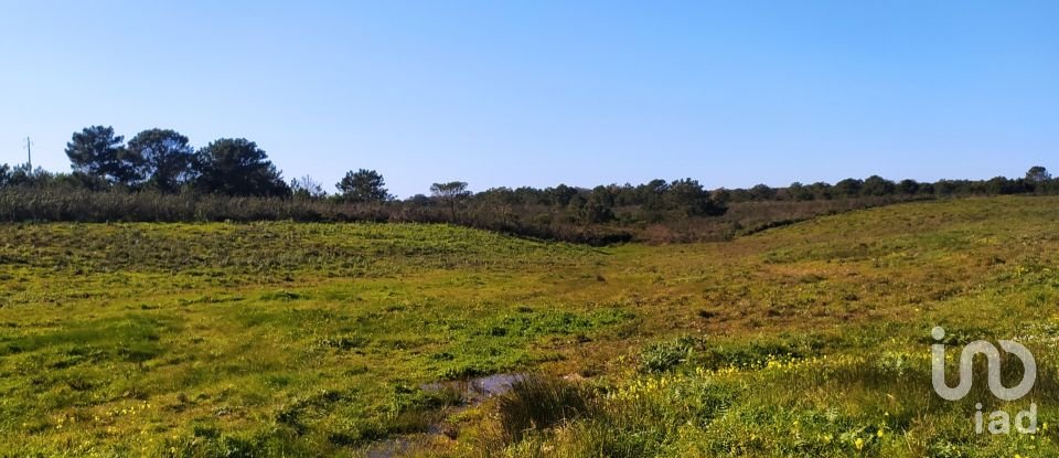 Terreno em Vila do Bispo e Raposeira de 235 534 m²