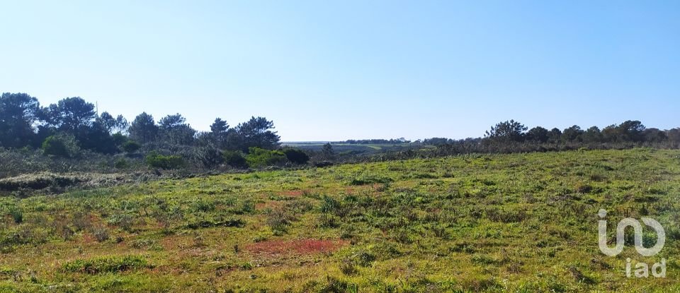Terreno em Vila do Bispo e Raposeira de 235 534 m²