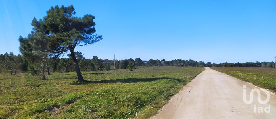 Terreno em Vila do Bispo e Raposeira de 235 534 m²