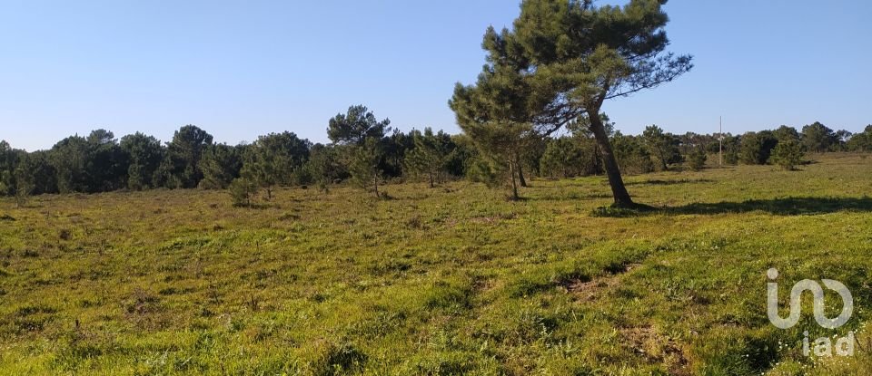 Terreno em Vila do Bispo e Raposeira de 235 534 m²