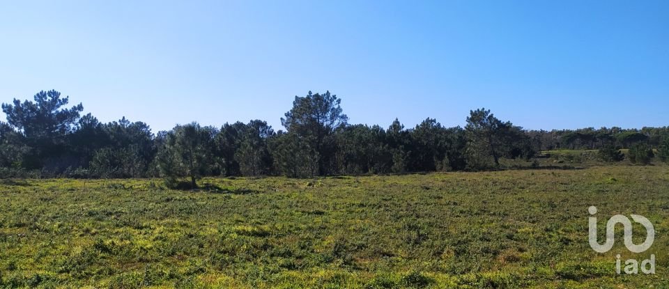 Terreno em Vila do Bispo e Raposeira de 235 534 m²