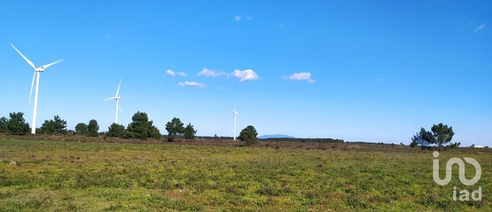 Terreno em Vila do Bispo e Raposeira de 235 534 m²
