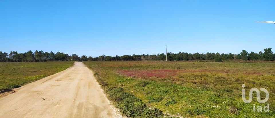 Terreno em Vila do Bispo e Raposeira de 235 534 m²