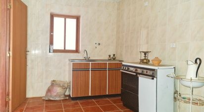 Maison de village T3 à São Pedro de Rio Seco de 172 m²