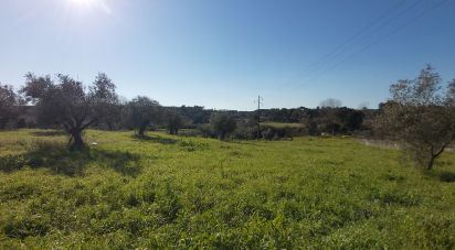 Terrain à Fráguas de 2 020 m²