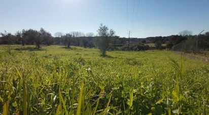 Terrain à Fráguas de 2 020 m²