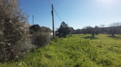 Terrain à Fráguas de 2 020 m²