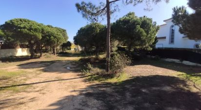 Terrain à bâtir à Almancil de 890 m²