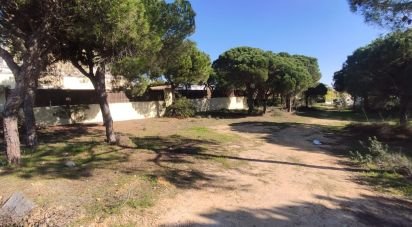 Building land in Almancil of 890 m²